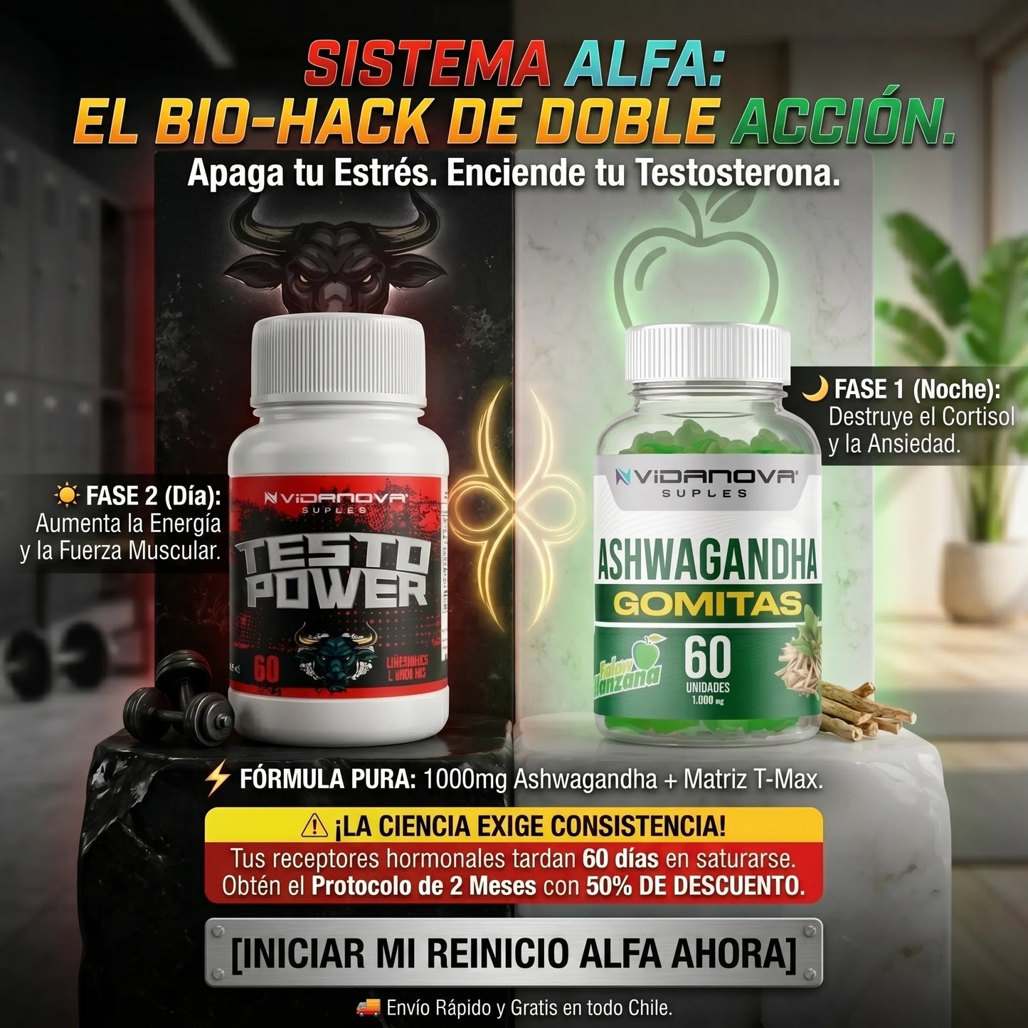 El Sistema Alfa de Doble Acción
